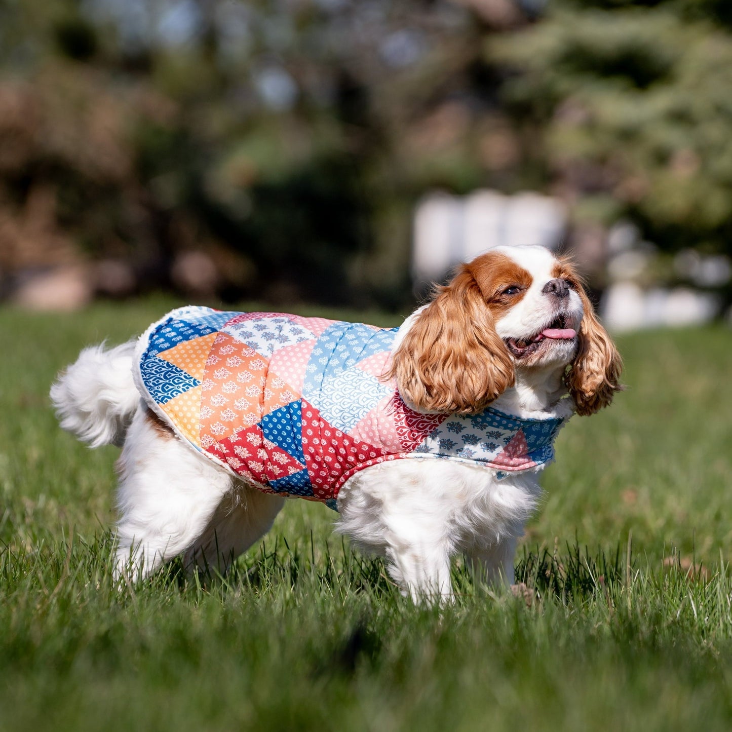 Sherpa Lined Plaid Quilted Multi-Color Winter Coat for Dogs