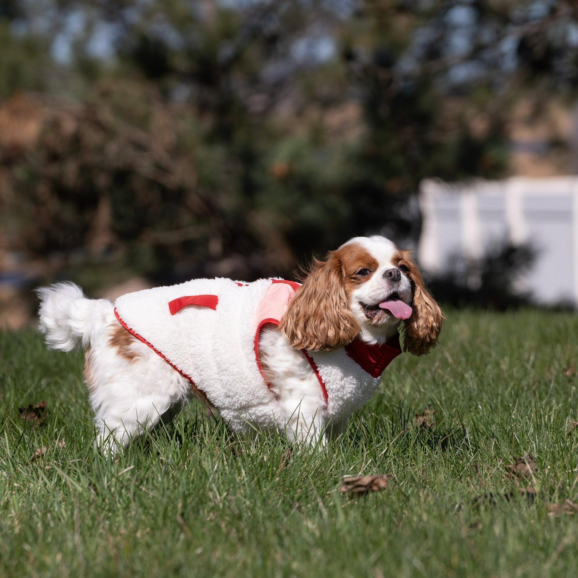 Warm Sherpa-Lined Plaid Quilted Coat For Pet