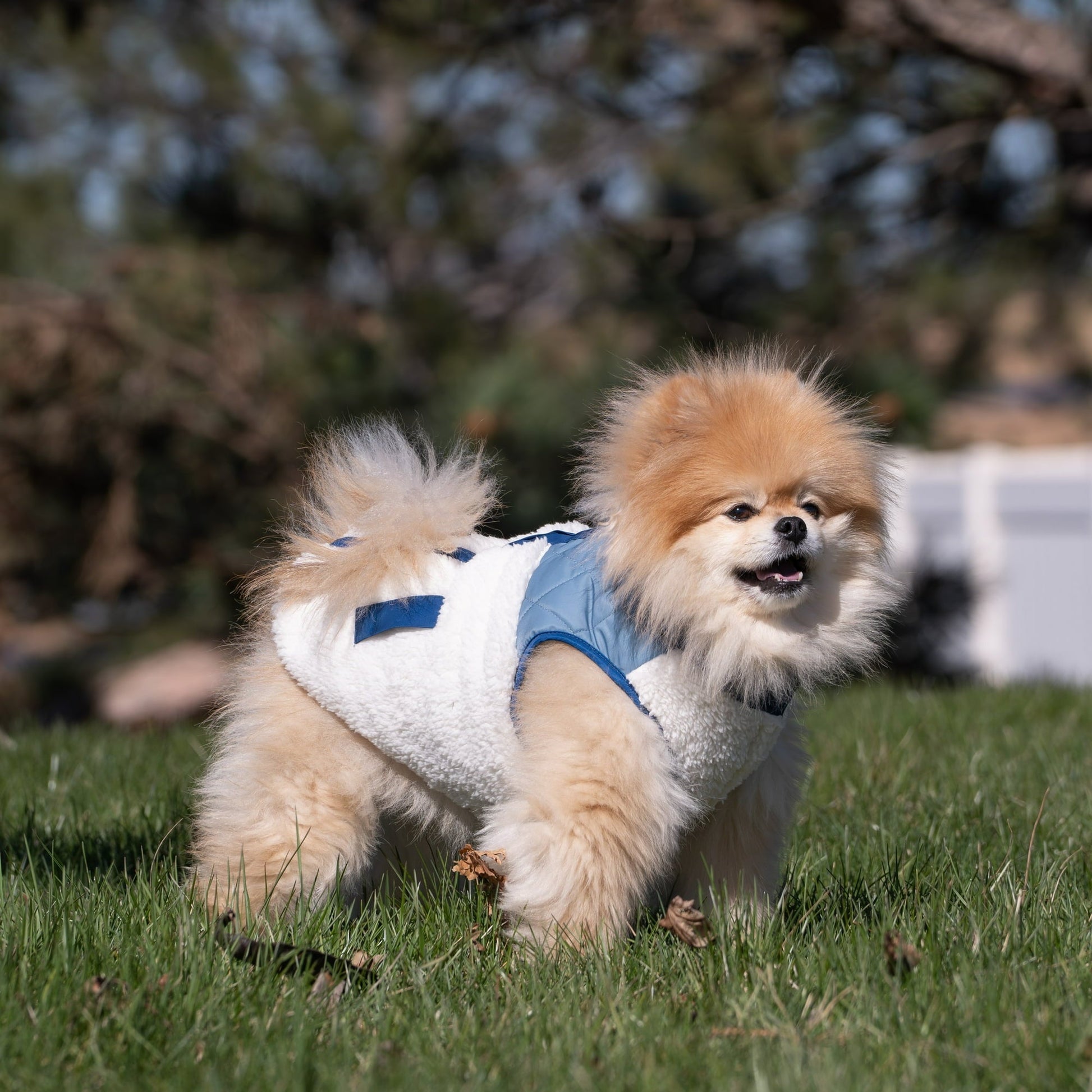 Warm Sherpa-Lined Plaid Quilted Coat For Pet