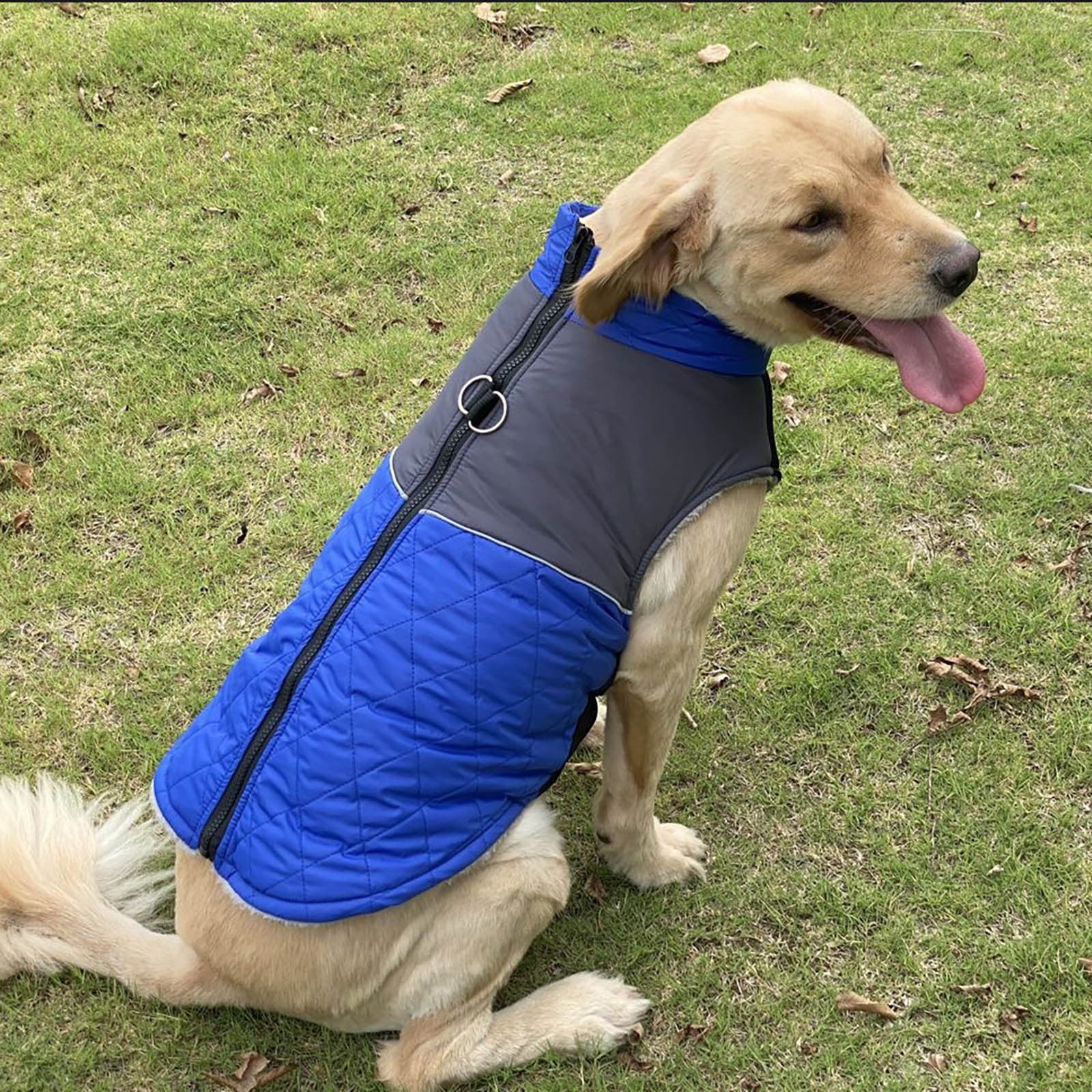 Waterproof Winter Sweater For Dog