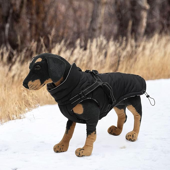 Winter Warm Waterproof Dog Jacket with Harness