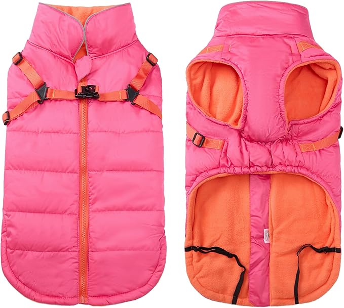 Winter Warm Waterproof Dog Jacket with Harness