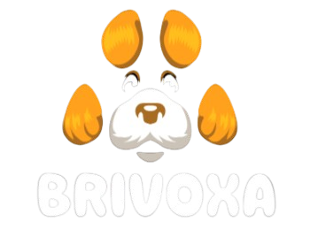 Brivoxa